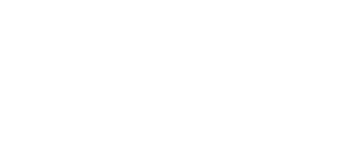 Business Partner Magazine